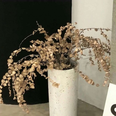 Furry二次元壁纸分享Furry群